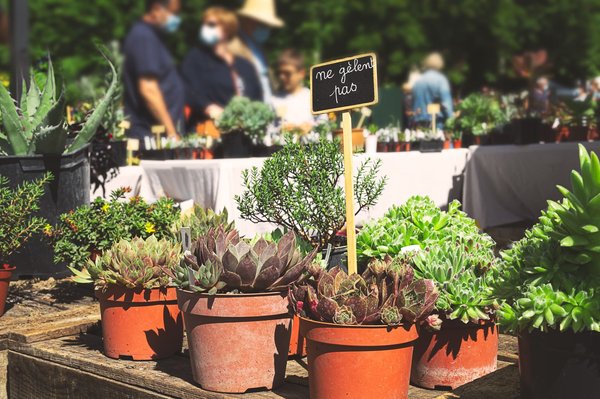 Salon de l'environnement 2024: rendez-vous à ne pas rater